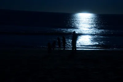 DSC_1175 (Large).JPG